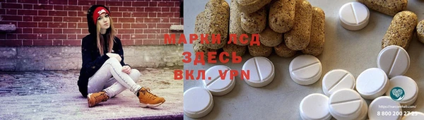 стаф Белокуриха