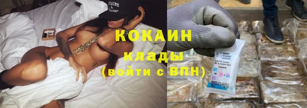стаф Белокуриха