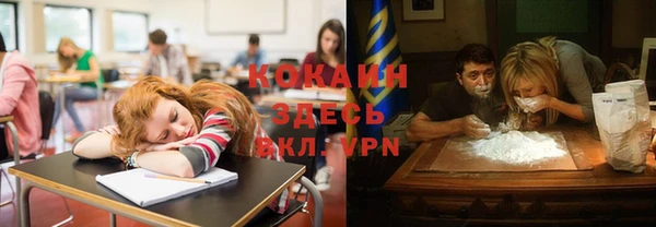 гидра Белоозёрский