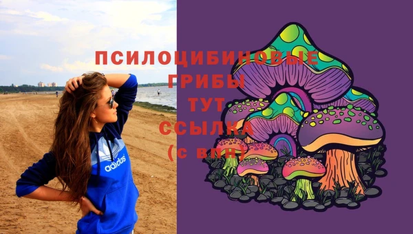стаф Белокуриха