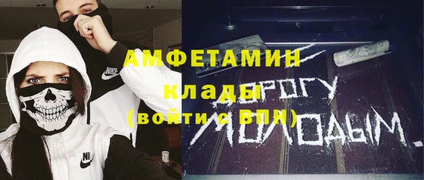 стаф Белокуриха