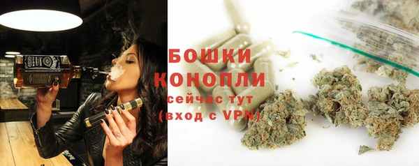 стаф Белокуриха